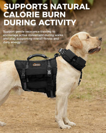 Reflective No-Pull Nylon Dog Harness for Small Dogs