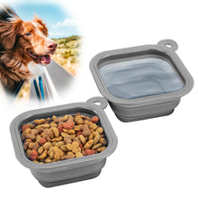 Collapsible Silicone Travel Bowls for Dogs & Cats