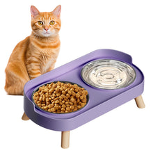 Raised Cat Food & Water Bowl Set for Indoor Cats