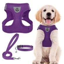 Adjustable No-Pull Dog & Cat Harness Leash Set