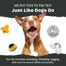 Tough Plush & Rubber Dog Chew Toy for Aggressive Chewers
