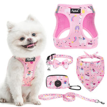 Adjustable No-Pull Dog & Cat Harness Leash Set