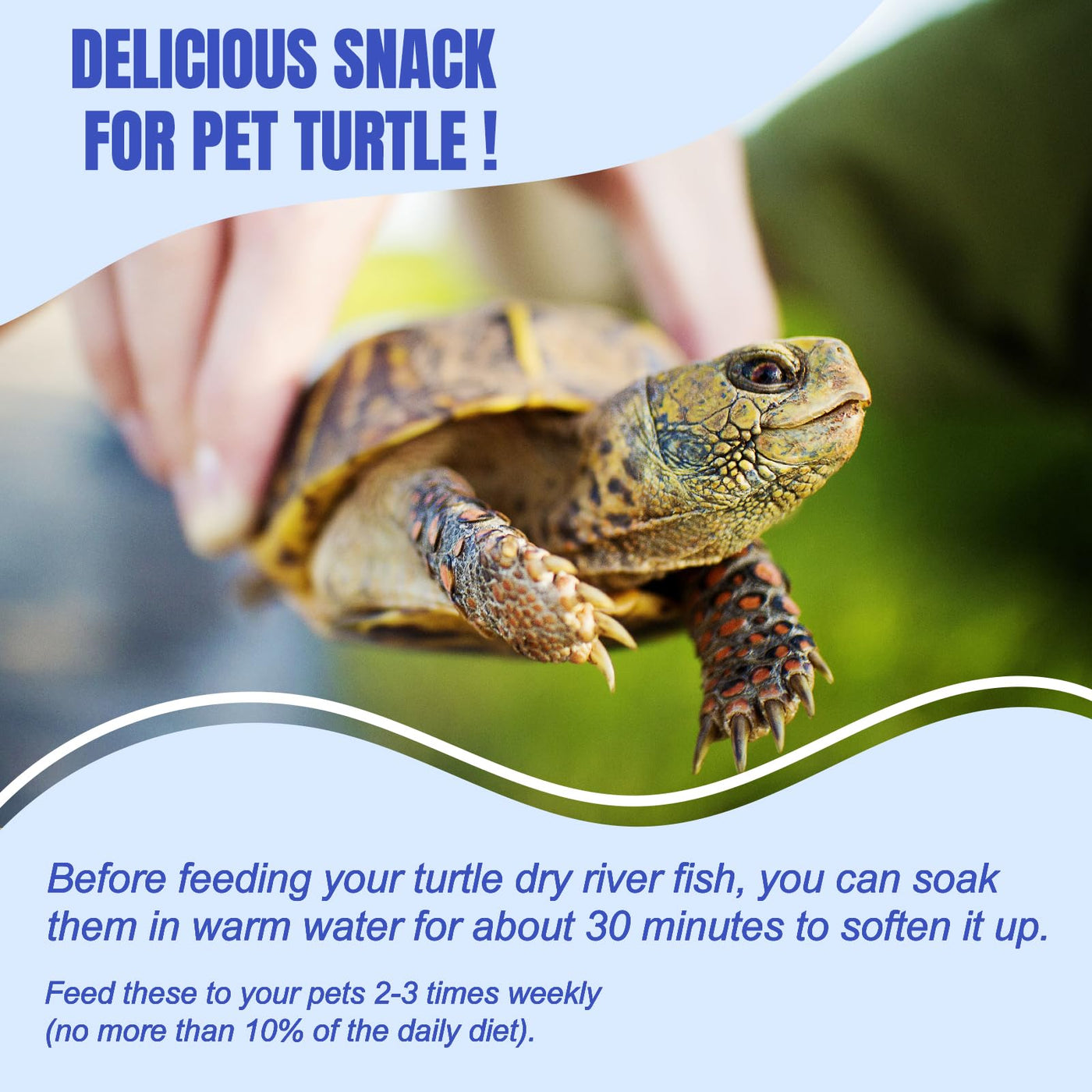 Natural Dried River Fish Food for Turtles & Reptiles