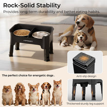 3-in-1 Adjustable Elevated Dog Bowl Stand with Lick Plate