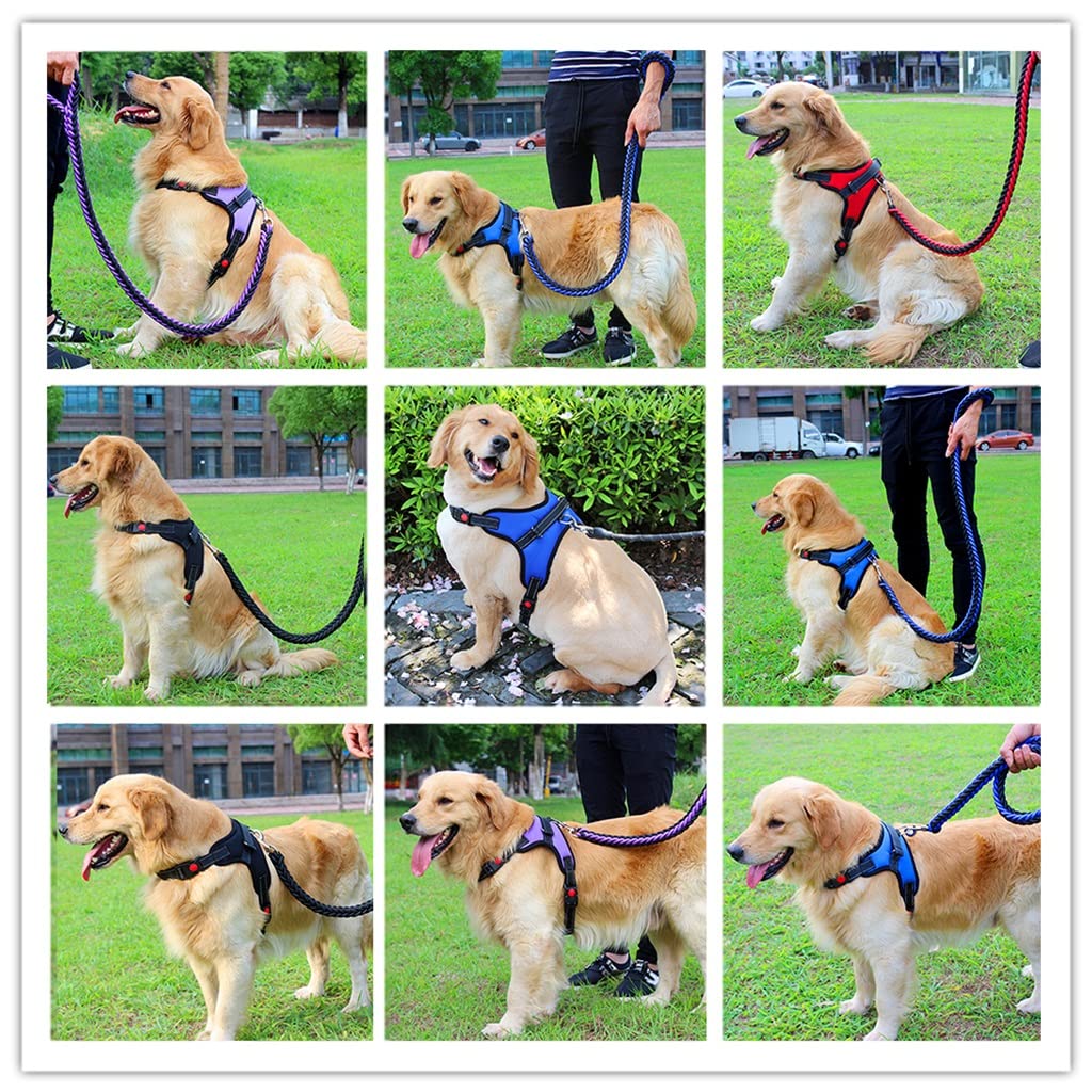 Adjustable Dog Walking Harness & Leash Set for Medium Dogs