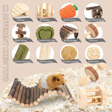 Small Animal Chew Toy Set with Wheel & Hideout