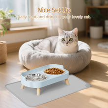 Raised Cat Food & Water Bowl Set for Indoor Cats