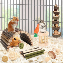 Small Animal Chew Toy Set with Wheel & Hideout