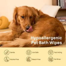 Deodorizing Grooming Glove Wipes for Dogs & Cats
