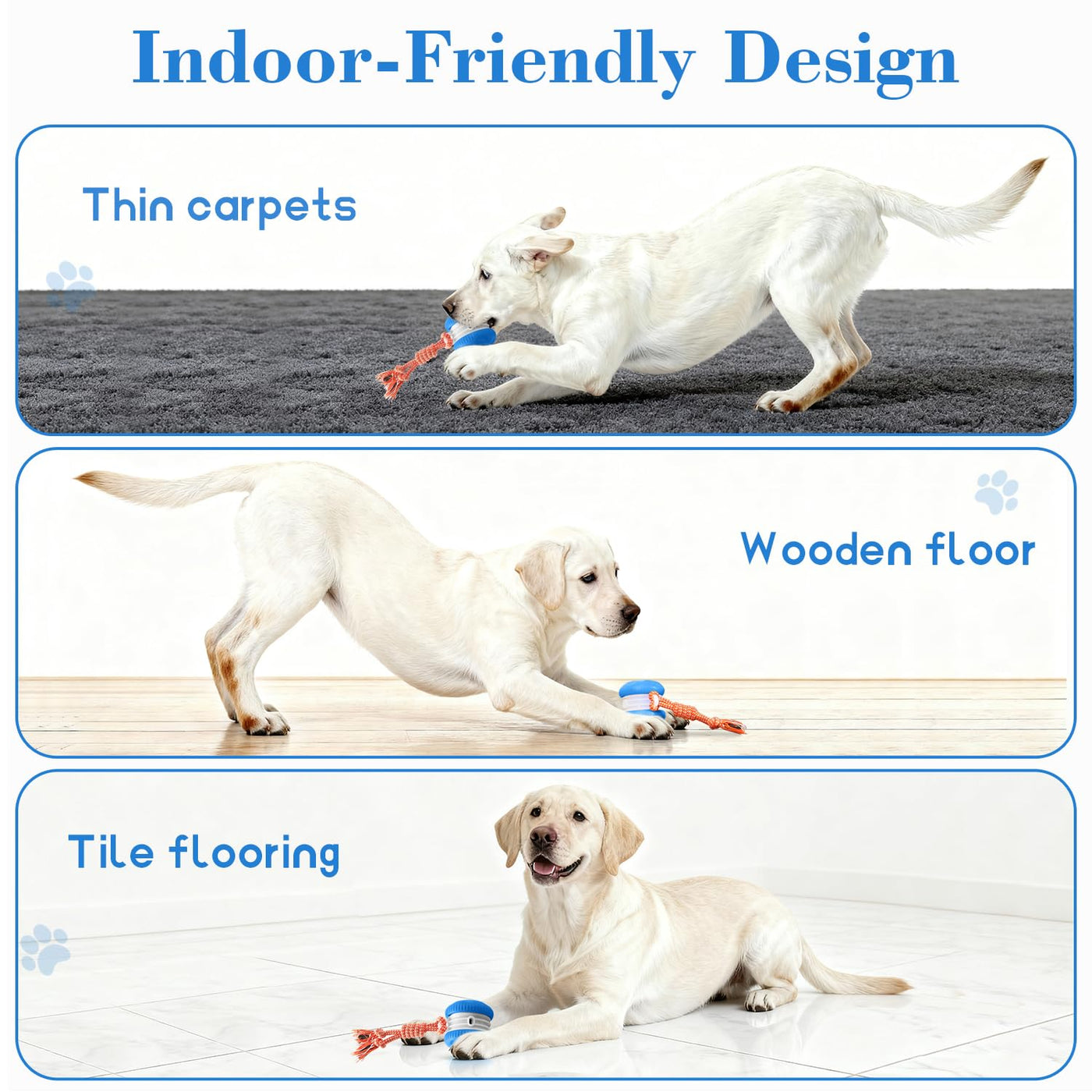 Motion-Activated Rolling Dog Ball with Rope Toy