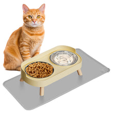 Raised Cat Food & Water Bowl Set for Indoor Cats