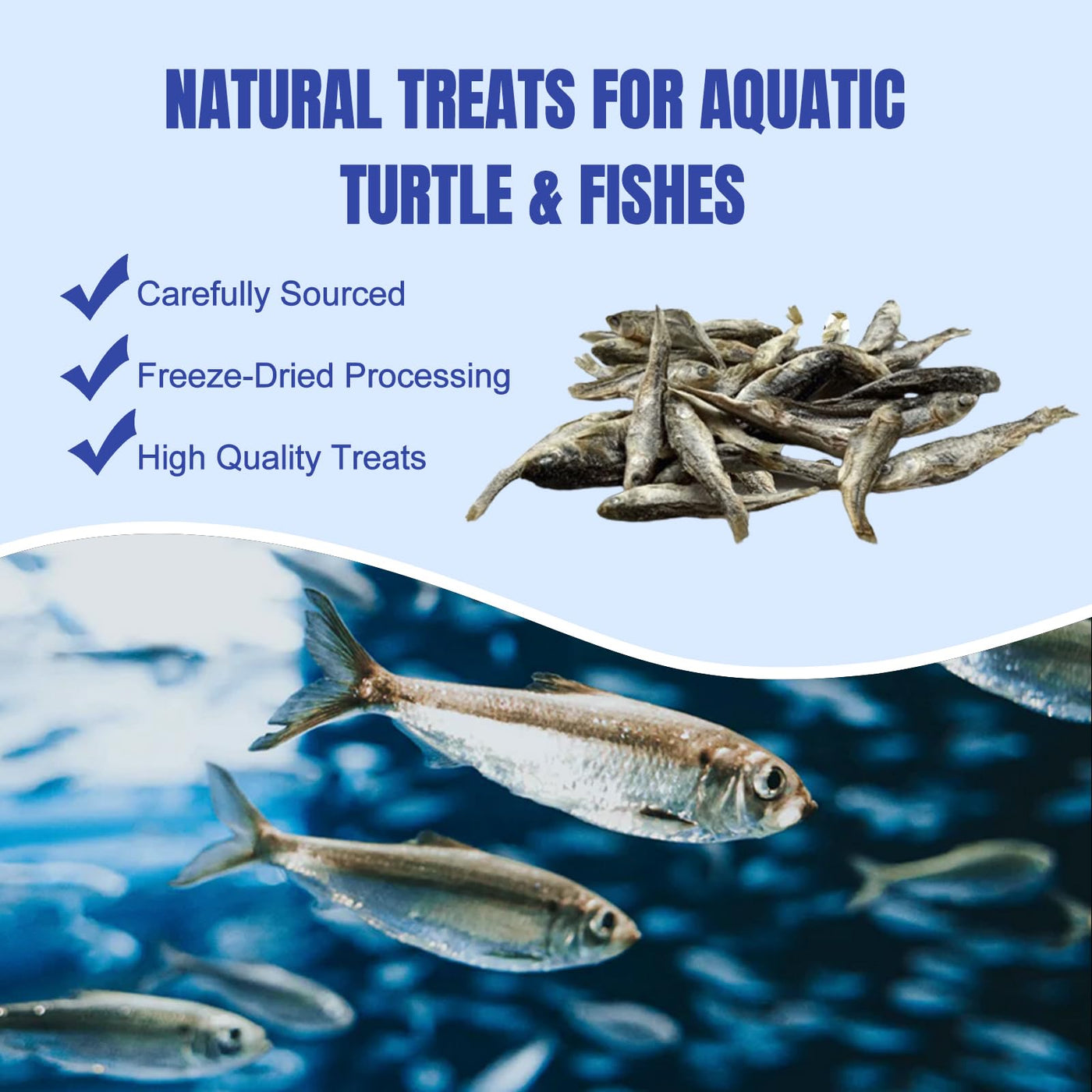 Natural Dried River Fish Food for Turtles & Reptiles