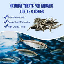 Natural Dried River Fish Food for Turtles & Reptiles