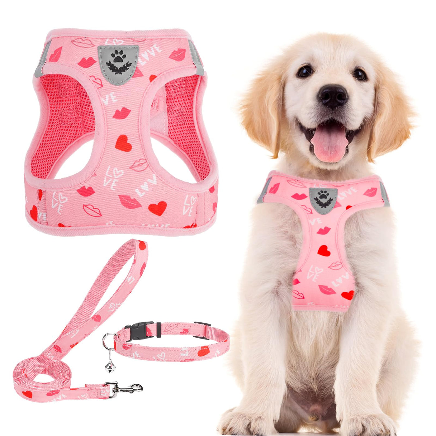 Adjustable No-Pull Dog & Cat Harness Leash Set