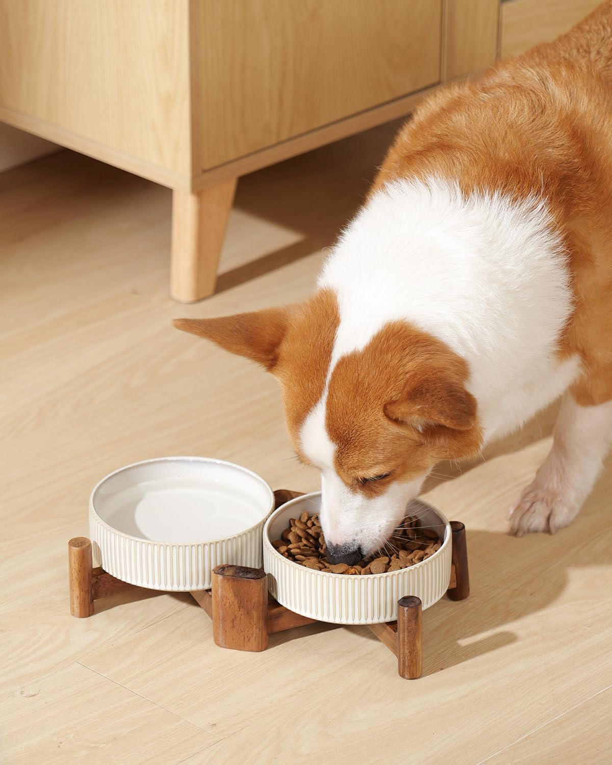 Ceramic Dog & Cat Bowl Set with Acacia Wood Stand