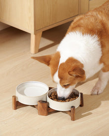 Ceramic Dog & Cat Bowl Set with Acacia Wood Stand