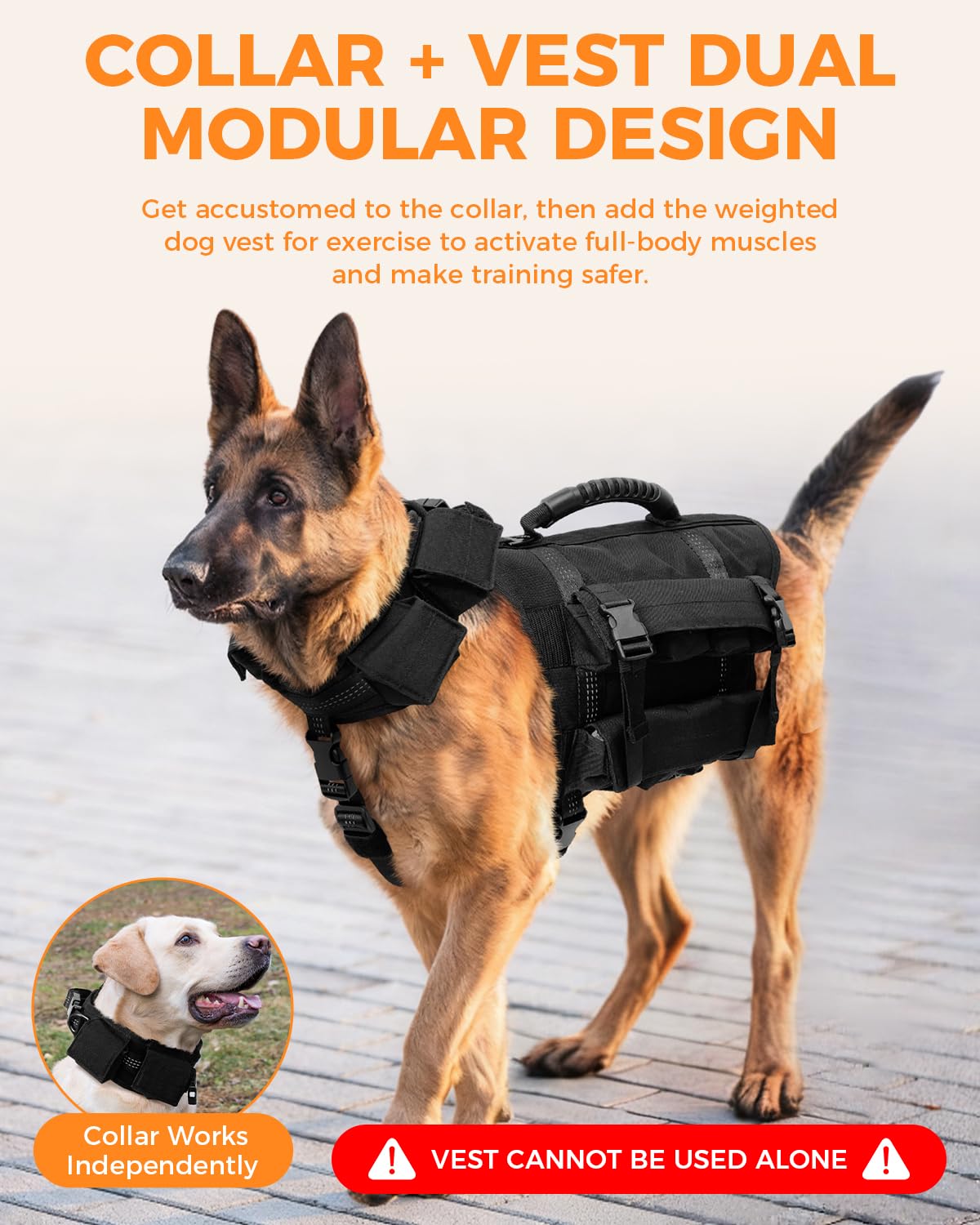 Reflective No-Pull Nylon Dog Harness for Small Dogs