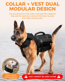 Reflective No-Pull Nylon Dog Harness for Small Dogs