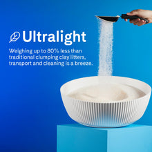 Health-Monitoring Color-Changing Silica Cat Litter