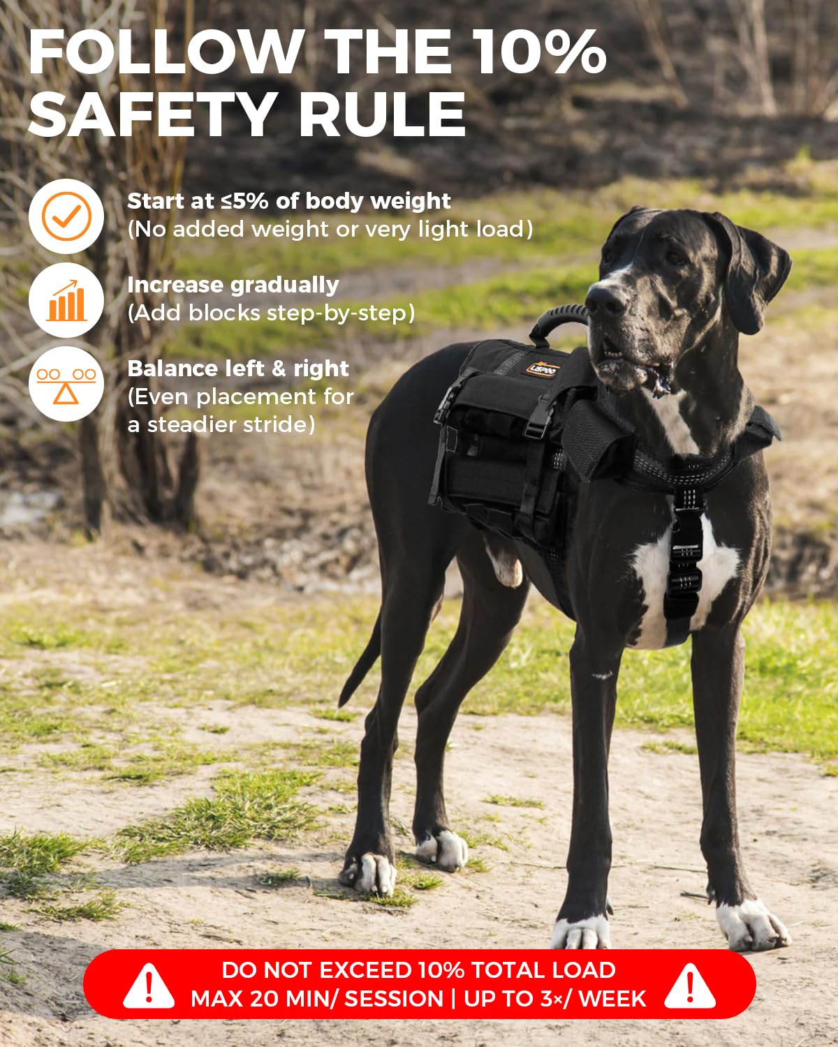 Reflective No-Pull Nylon Dog Harness for Small Dogs