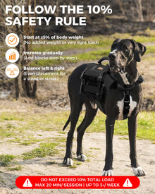 Reflective No-Pull Nylon Dog Harness for Small Dogs