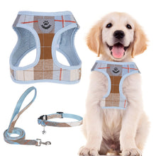 Adjustable No-Pull Dog & Cat Harness Leash Set