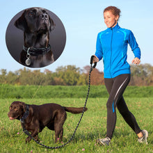 Reflective Padded Nylon Dog Collar with Neoprene Lining