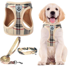 Adjustable No-Pull Dog & Cat Harness Leash Set