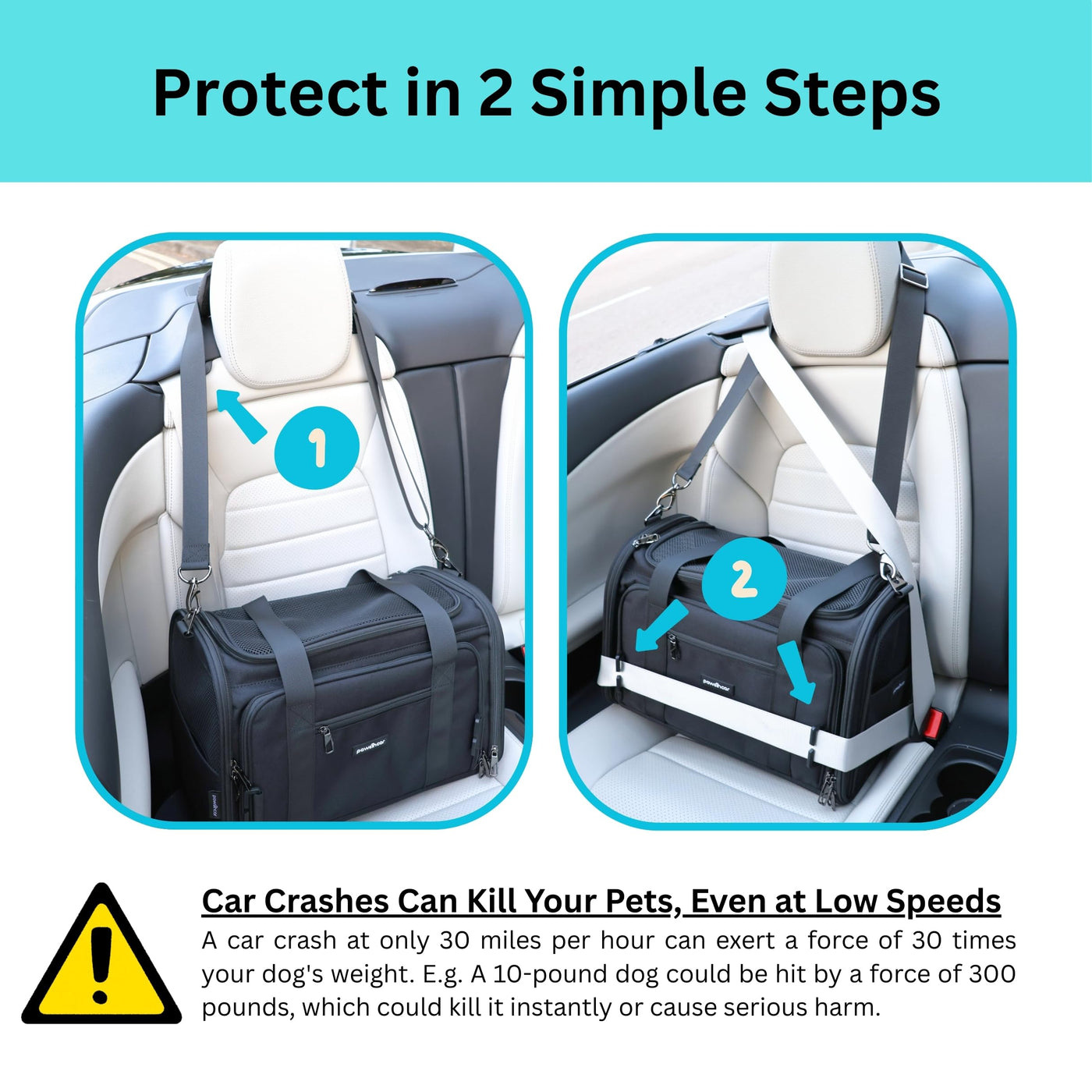 Crash-Tested 3-in-1 Pet Carrier & Car Seat