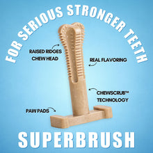 Long-Lasting Nylon Toothbrush Chew Toy for Dogs