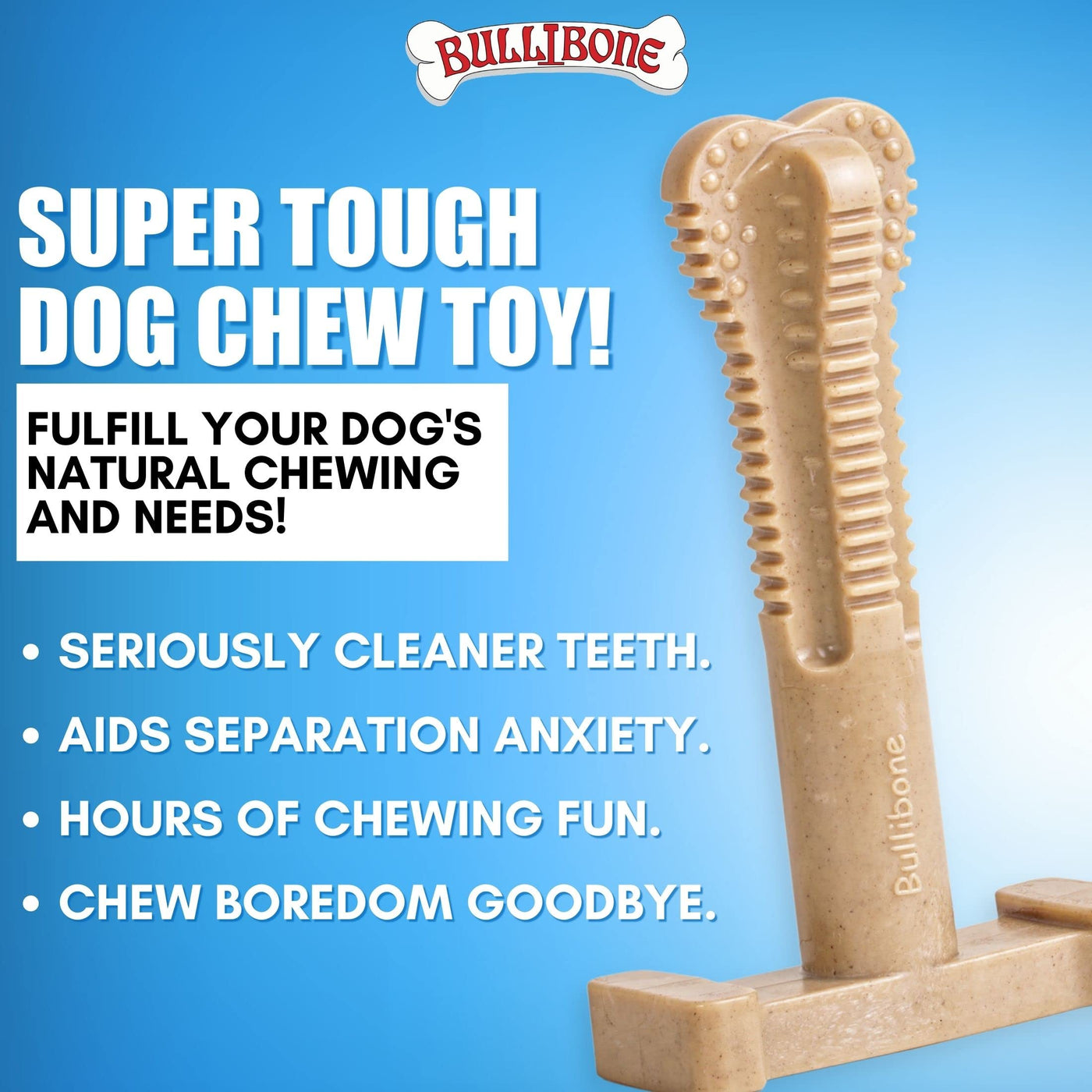 Long-Lasting Nylon Toothbrush Chew Toy for Dogs