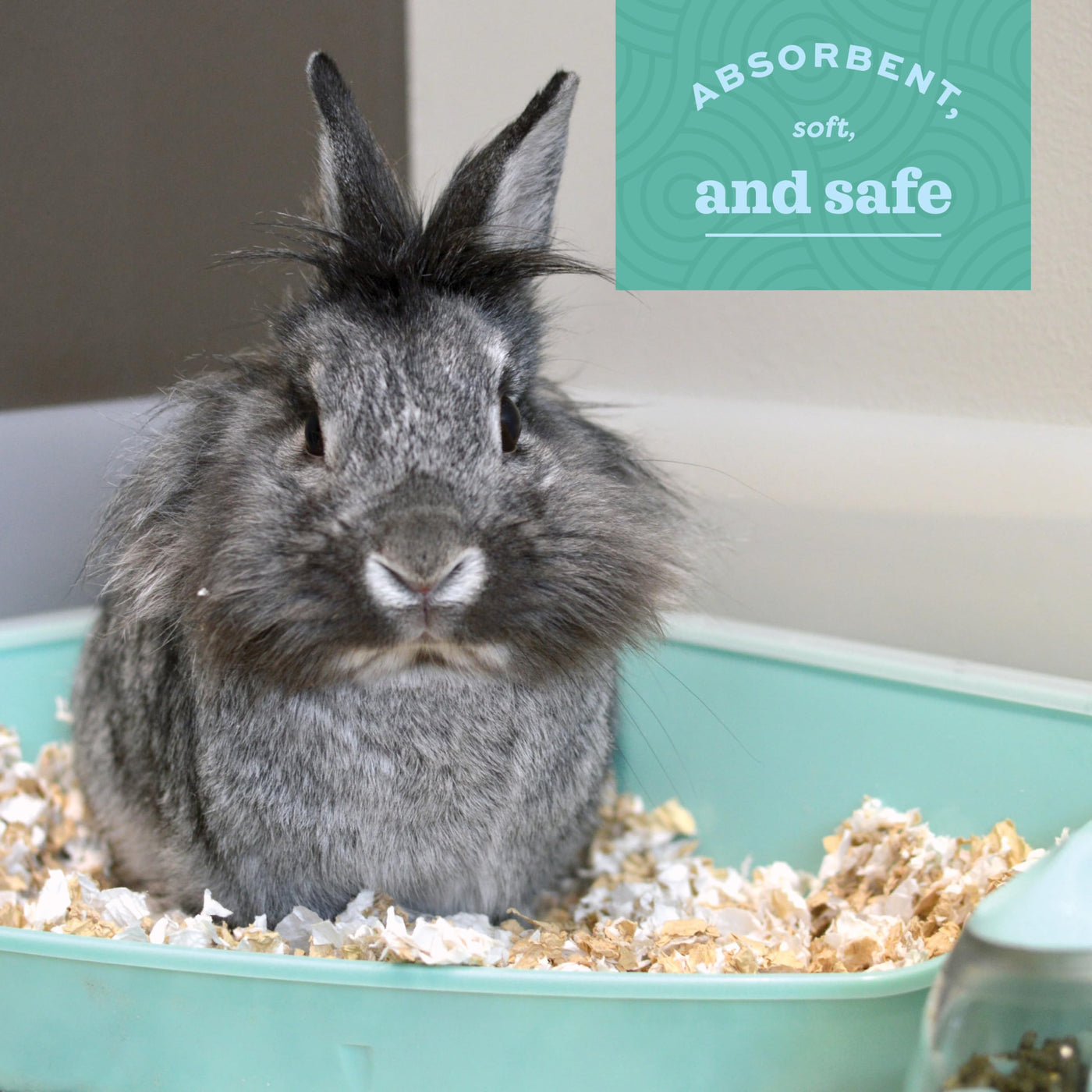 Low-Dust Comfort Bedding for Rabbits & Small Pets