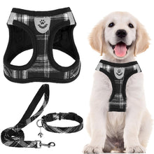 Adjustable No-Pull Dog & Cat Harness Leash Set