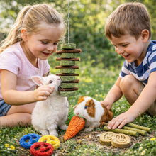 Natural Bunny Chew Toys with Apple Wood & Timothy Grass