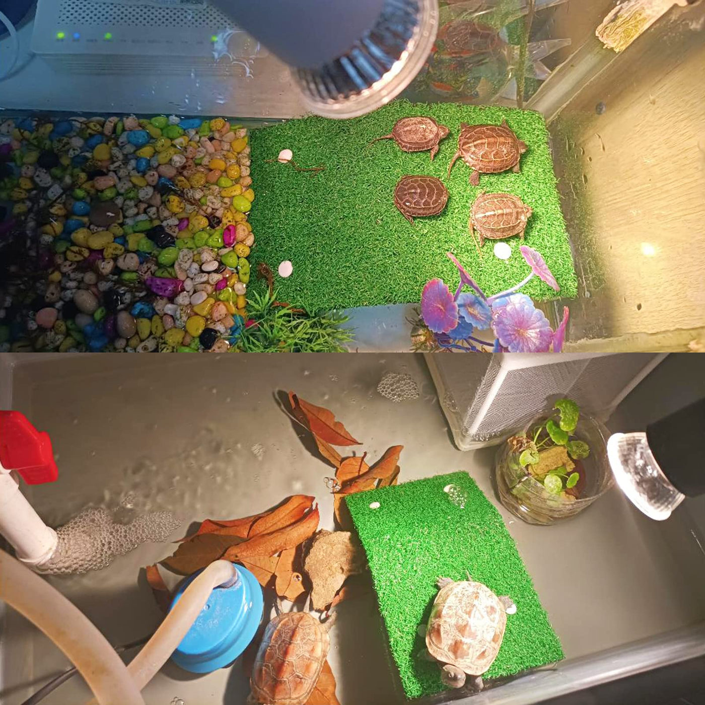 Turtle Basking Platform with Grass Aquarium Ramp