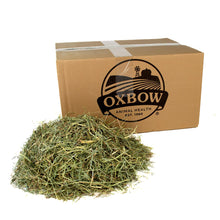 Orchard Grass Hay for Rabbits and Small Pets