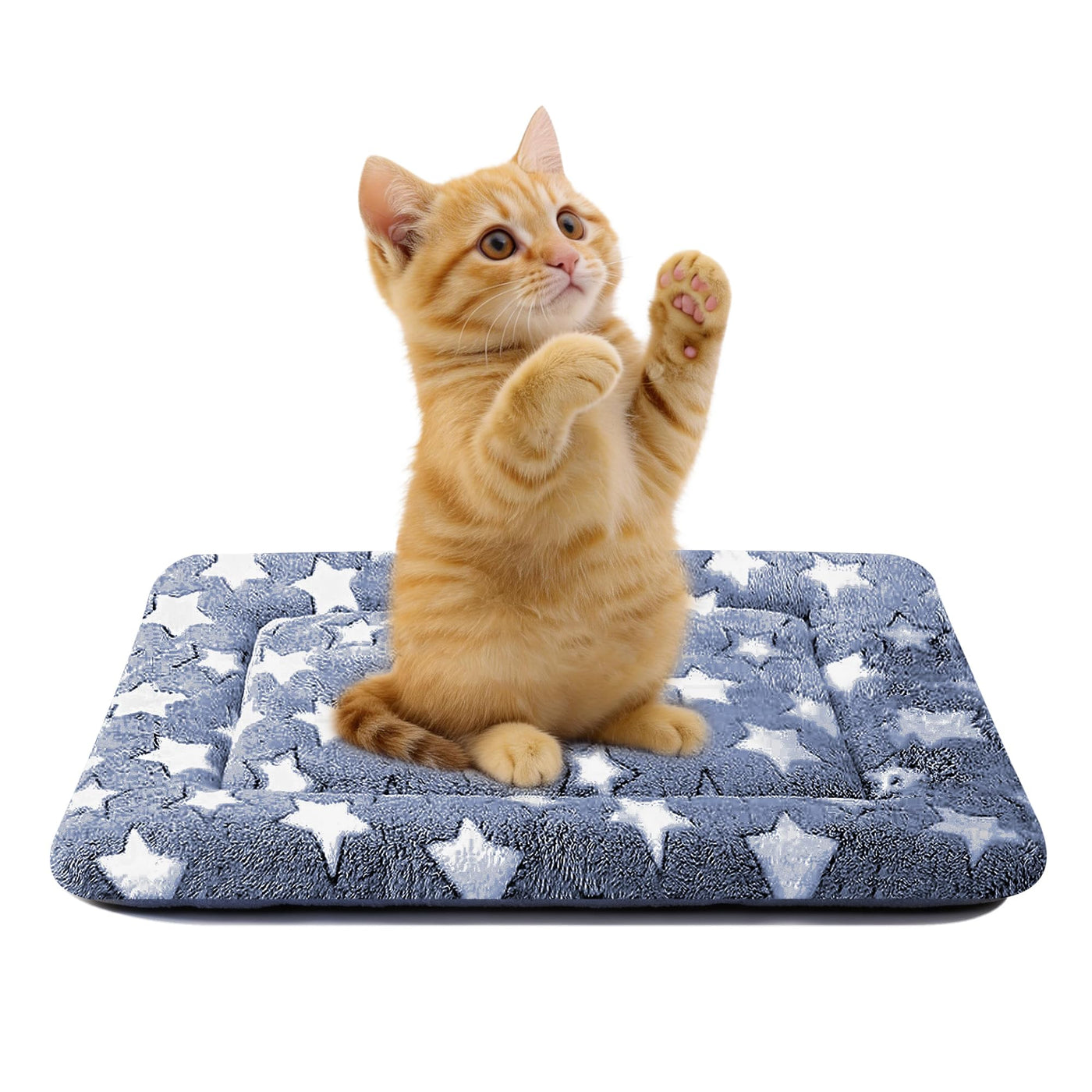 Washable Reversible Dog Crate Bed with Non-Slip Pad