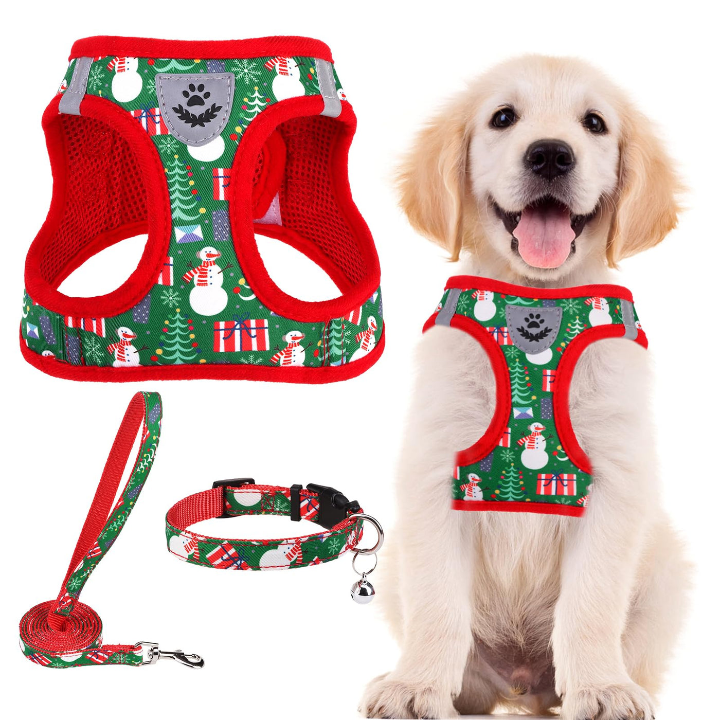Adjustable No-Pull Dog & Cat Harness Leash Set