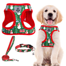 Adjustable No-Pull Dog & Cat Harness Leash Set