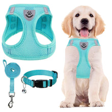 Adjustable No-Pull Dog & Cat Harness Leash Set