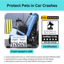 Crash-Tested 3-in-1 Pet Carrier & Car Seat