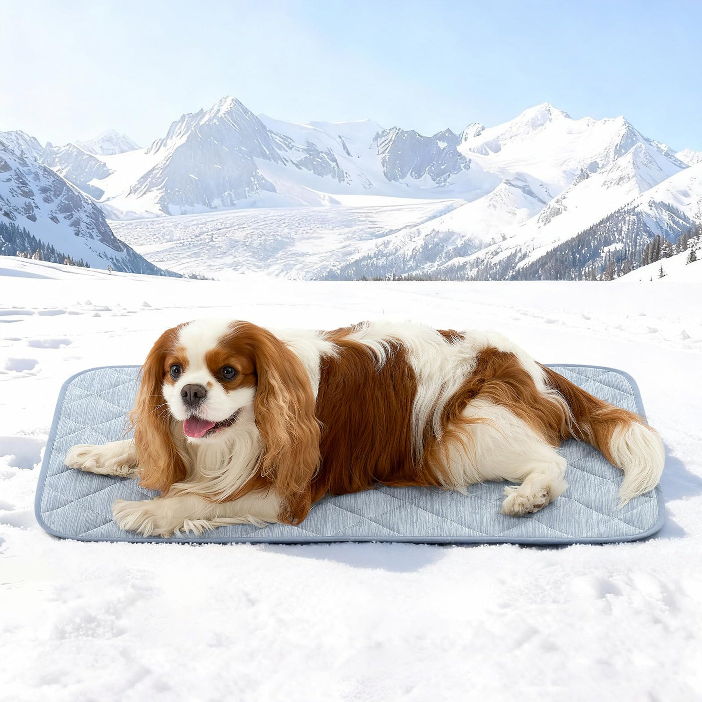 Extra Large Waterproof Cooling Mat for Large Dogs