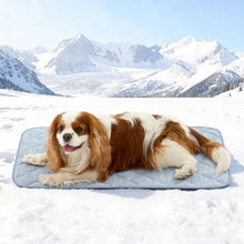 Extra Large Waterproof Cooling Mat for Large Dogs