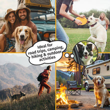 Collapsible Silicone Travel Bowls for Dogs & Cats