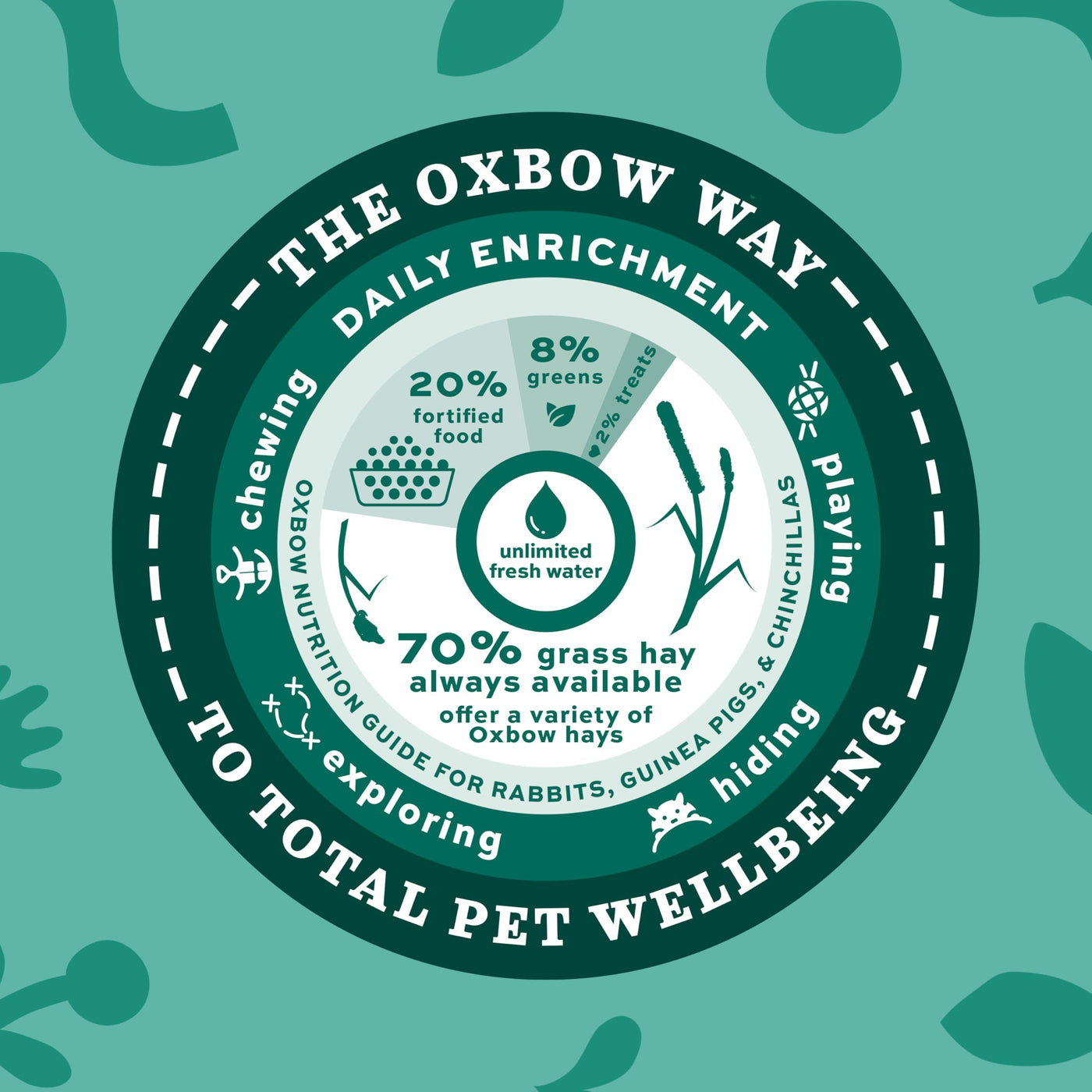 Orchard Grass Hay for Rabbits and Small Pets