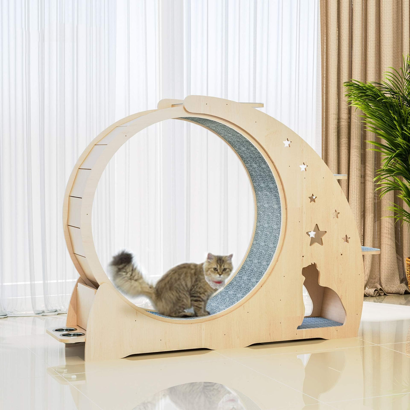 Cat Exercise Wheel & Scratch Board Activity Center