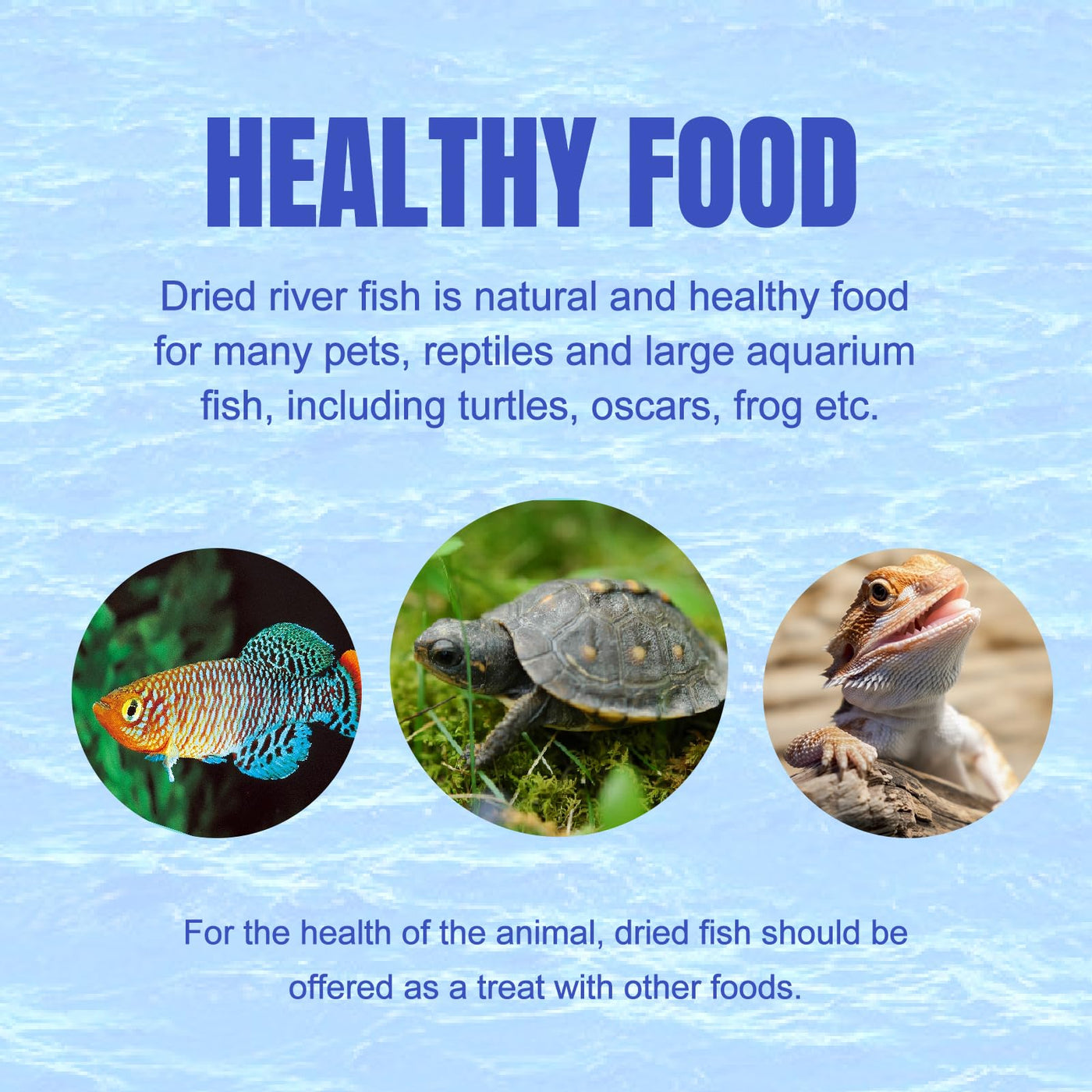 Natural Dried River Fish Food for Turtles & Reptiles