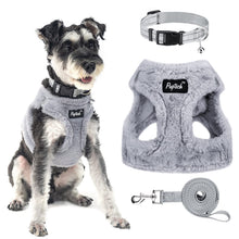 Adjustable No-Pull Dog & Cat Harness Leash Set