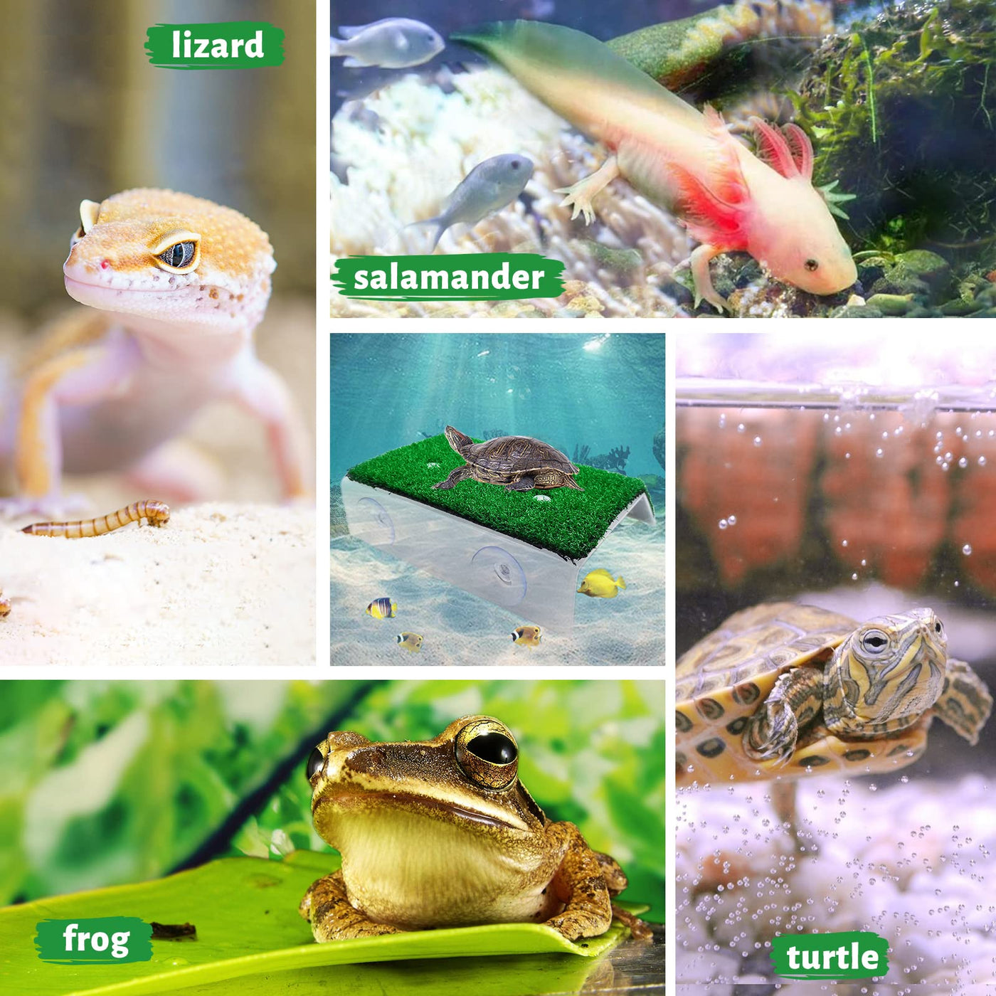 Turtle Basking Platform with Grass Aquarium Ramp