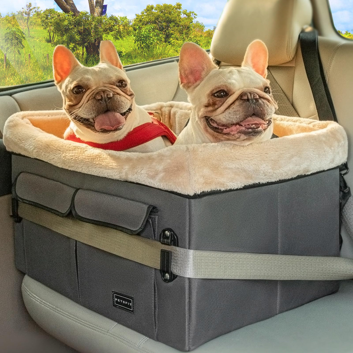 Medium Dog Car Booster Seat with Dual Safety Leashes